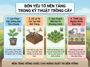 Hướng Dẫn Chi Tiết Kỹ Thuật Trồng Cây Chuyên Sâu