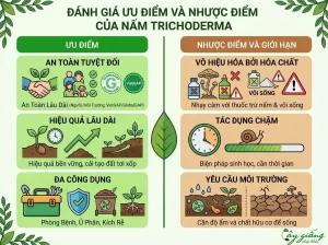 Nấm Trichoderma Là Gì? Cơ Chế, Tác Dụng Và Cách Sử Dụng