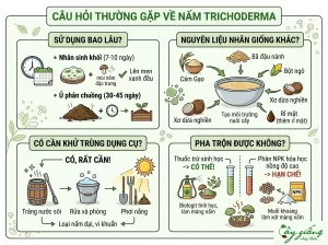 Nấm Trichoderma Là Gì? Cơ Chế, Tác Dụng Và Cách Sử Dụng