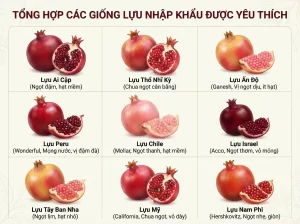 Nên Trồng Giống Lựu Nào? Top 8 Giống Lựu Dễ Trồng, Trĩu Quả