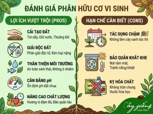 Phân Bón Hữu Cơ Vi Sinh Là Gì? Vai Trò Và Cách Bón Chuẩn