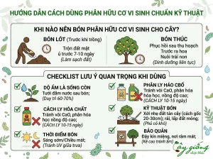 Phân Bón Hữu Cơ Vi Sinh Là Gì? Vai Trò Và Cách Bón Chuẩn