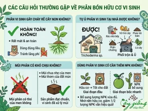 Phân Bón Hữu Cơ Vi Sinh Là Gì? Vai Trò Và Cách Bón Chuẩn