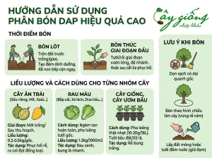 Phân DAP Là Gì? Công Dụng Và Cách Dùng Như Thế Nào?