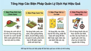 Phòng Ngừa Sâu Bệnh, Bảo Vệ Cây Trồng, Tối Ưu Năng Suất