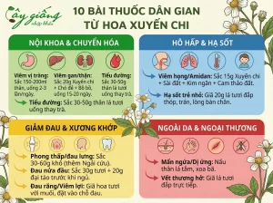 | Tháng 4 2026 Hoa Xuyến Chi - Tác Dụng Chữa Bệnh, Ý Nghĩa Và Cách Trồng