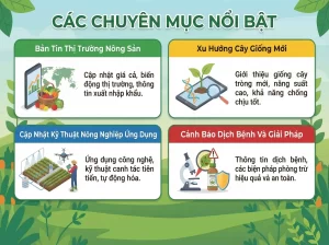 Tổng Hợp Tin Tức Nông Nghiệp - Xu Hướng, Kỹ Thuật Và Thị Trường