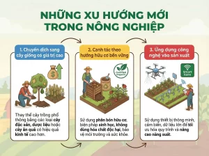 Tổng Hợp Tin Tức Nông Nghiệp - Xu Hướng, Kỹ Thuật Và Thị Trường
