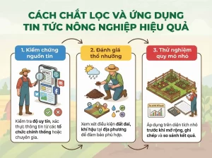 Tổng Hợp Tin Tức Nông Nghiệp - Xu Hướng, Kỹ Thuật Và Thị Trường