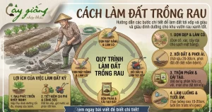 Cách Làm Đất Trồng Rau Tại Nhà Tơi Xốp, Giàu Dinh Dưỡng