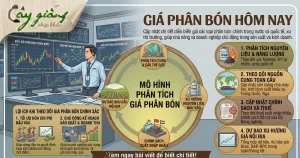 Cập nhật liên tục giá phân bón hôm nay