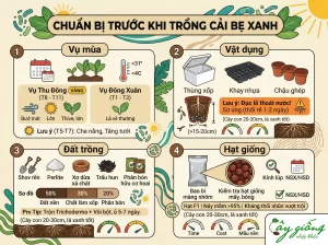 Cách Trồng Cải Bẹ Xanh Tại Nhà Đơn Giản, Năng Suất Cao