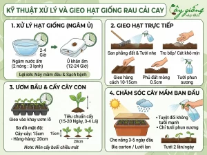Cách Trồng Cải Bẹ Xanh Tại Nhà Đơn Giản, Năng Suất Cao