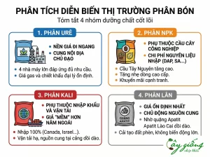 Cập nhật liên tục giá phân bón hôm nay