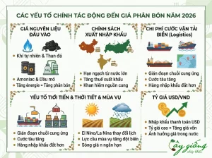 Cập nhật liên tục giá phân bón hôm nay