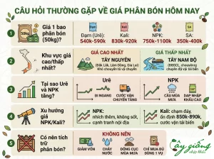 Cập nhật liên tục giá phân bón hôm nay