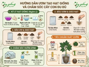 Kỹ Thuật Trồng Cây Đu Đủ Nghiêng Sai Quả, Năng Suất Cao