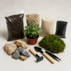 NVL trồng Terarium