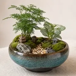 Tiểu cảnh chậu gốm
